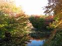 2008-10-11_Tiverton_Trustom 110